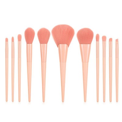 Paw Print Iridescent Makeup Brushes With Bag Case Cosmetic Tools Case Makeup Brush 11Pcs Wood Handle Pink Makeup Brush